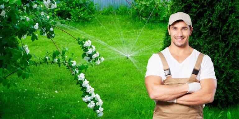 Den Rasen langfristig fit machen: Sattes Grün durch mehr Luft und gesunden Boden