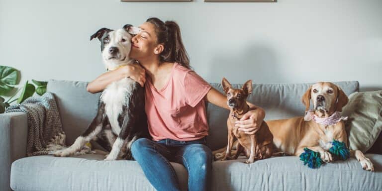 Die effektivsten Tipps für Tierhalter