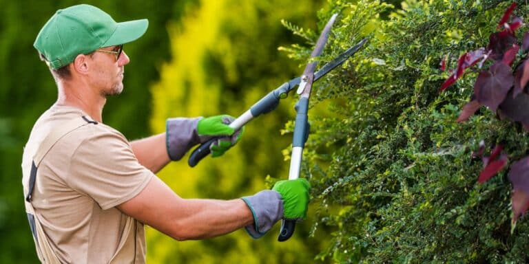 Ob in großem Stil oder im DIY-Ansatz – die Begrünung von Gebäuden zahlt sich vielfach aus.
