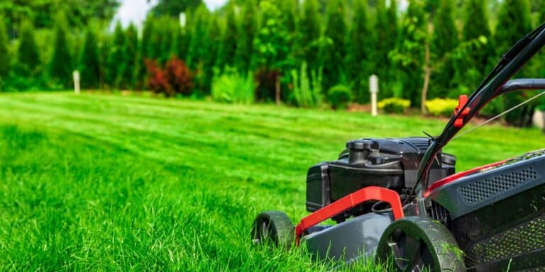 Ab März: Rasenpflege und Vorbereitung für den Sommer
