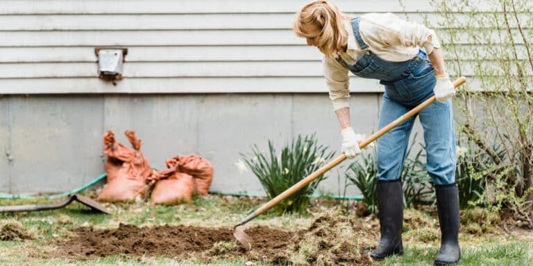 Die drei bedeutendsten Gartenarbeiten im März