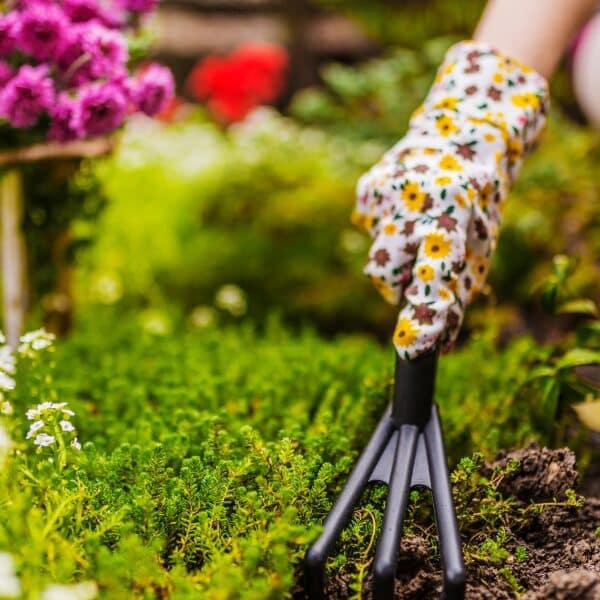 Raschwachsende Pflanzen: Blitzschnell zum blühenden Garten